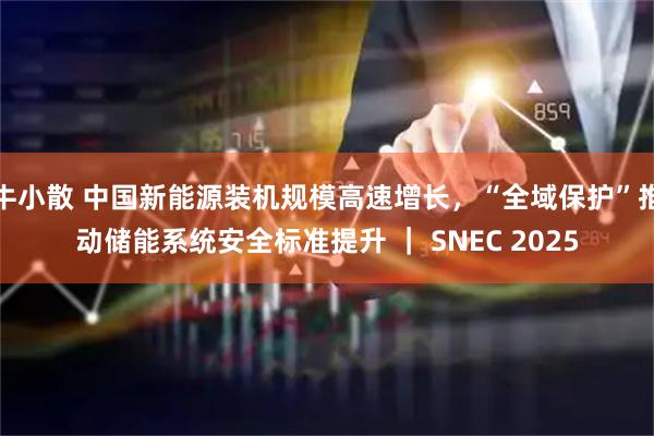 牛小散 中国新能源装机规模高速增长，“全域保护”推动储能系统安全标准提升 ｜ SNEC 2025