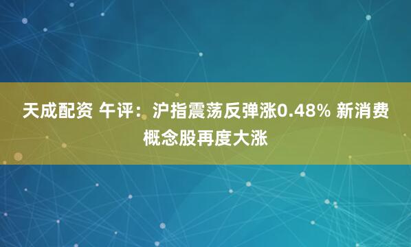 天成配资 午评：沪指震荡反弹涨0.48% 新消费概念股再度大涨