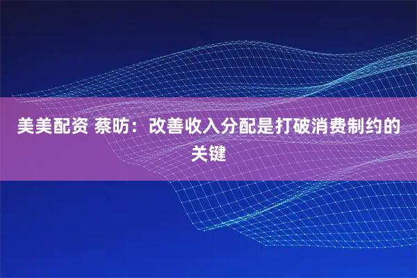 美美配资 蔡昉：改善收入分配是打破消费制约的关键